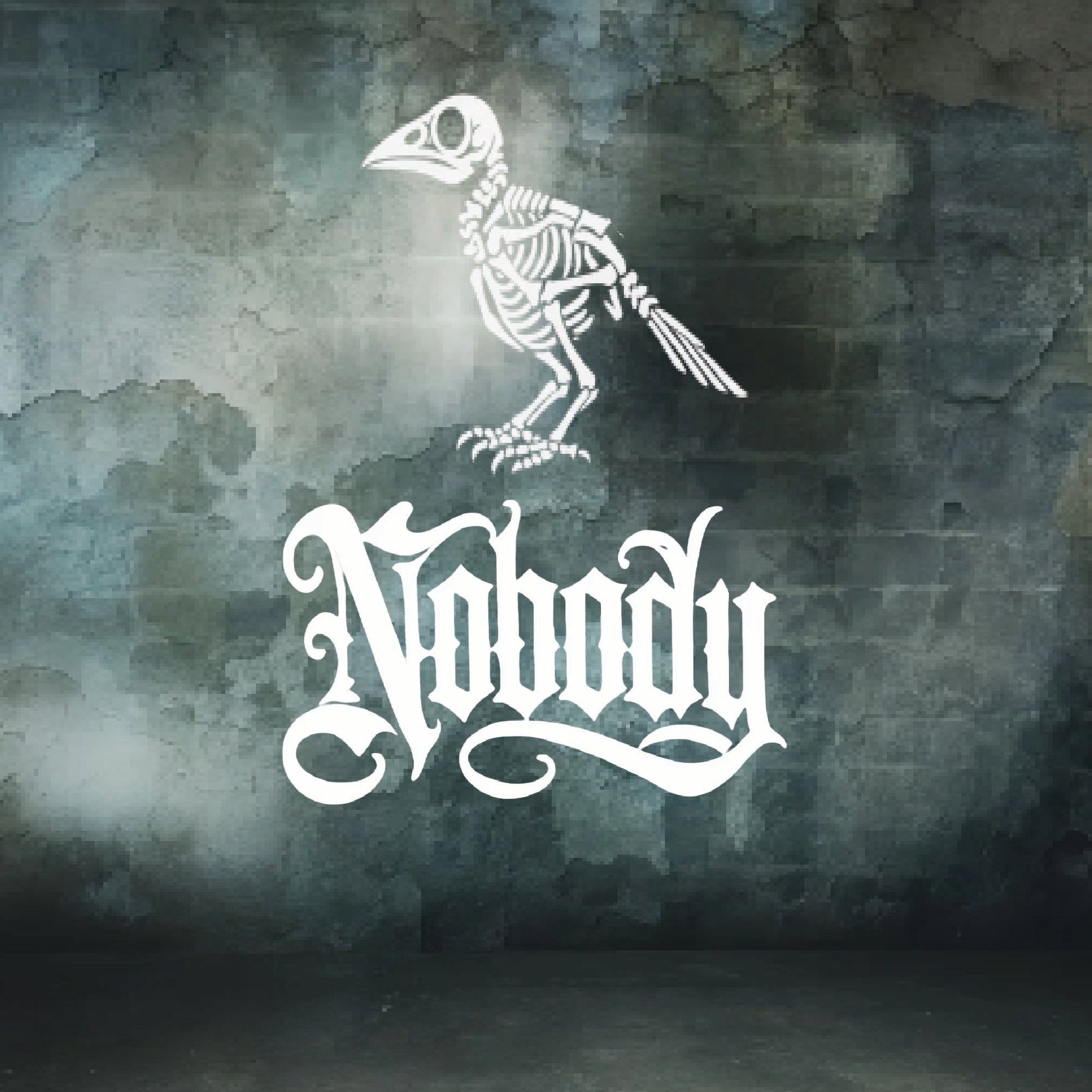 White gothic-style 'Nobody' text with a white skeletal raven above it, centered on a distressed dark gray and green textured background.